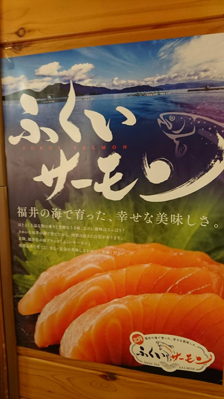salmon-01-up