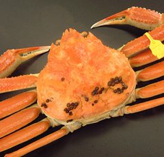 Echizen Crab   Medium size: around 0.8 – 0.9kg