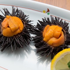 生うに 1人前 1,100円
