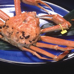 ゆでがに